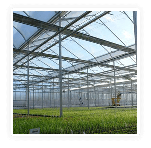 cultivation cultivation facility design