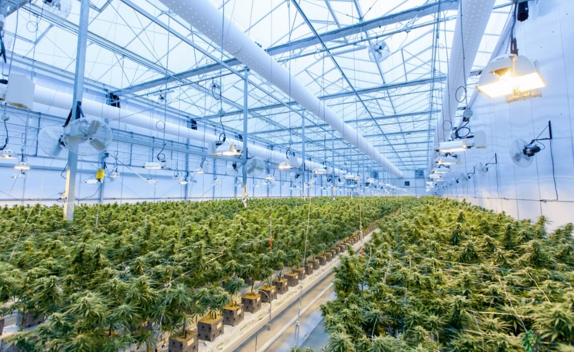 services-cultivation-facility