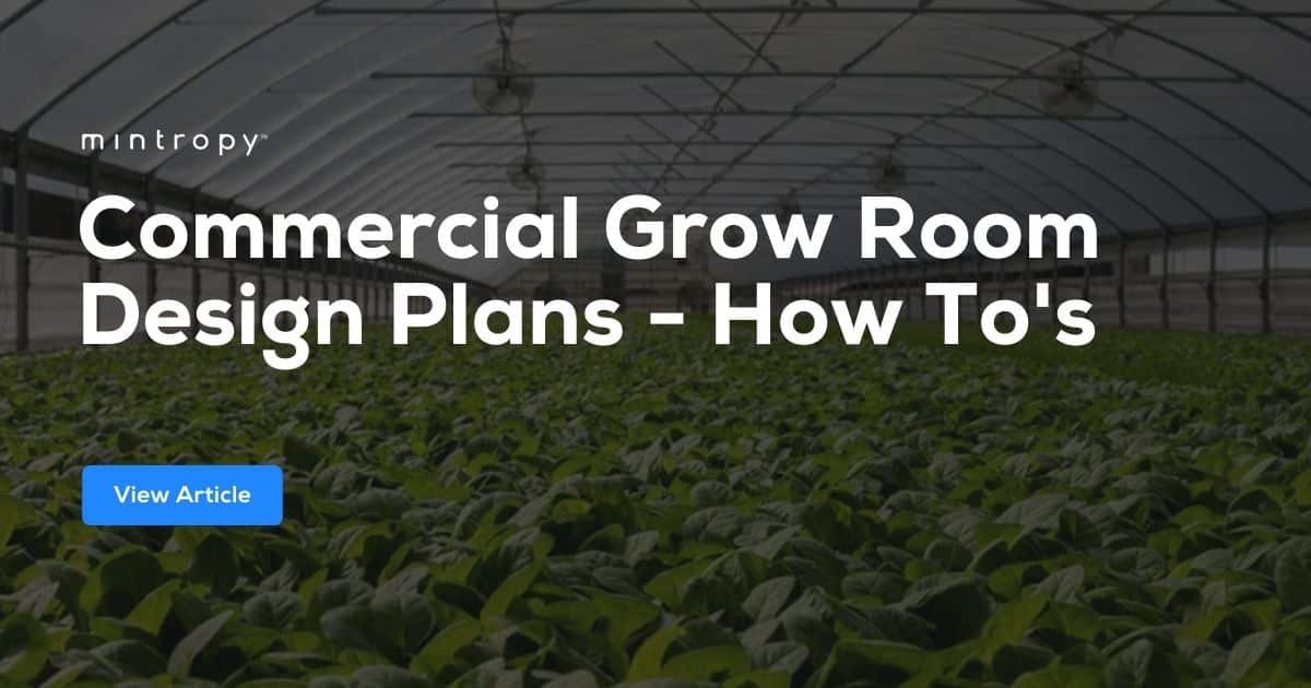 Commercial Grow Room Design Plans | How To’s | Mintropy