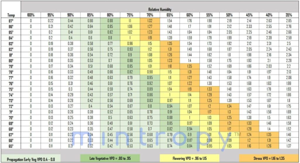 VPD Cannabis Cultivation Understanding Vapor Pressure Deficit Mintropy