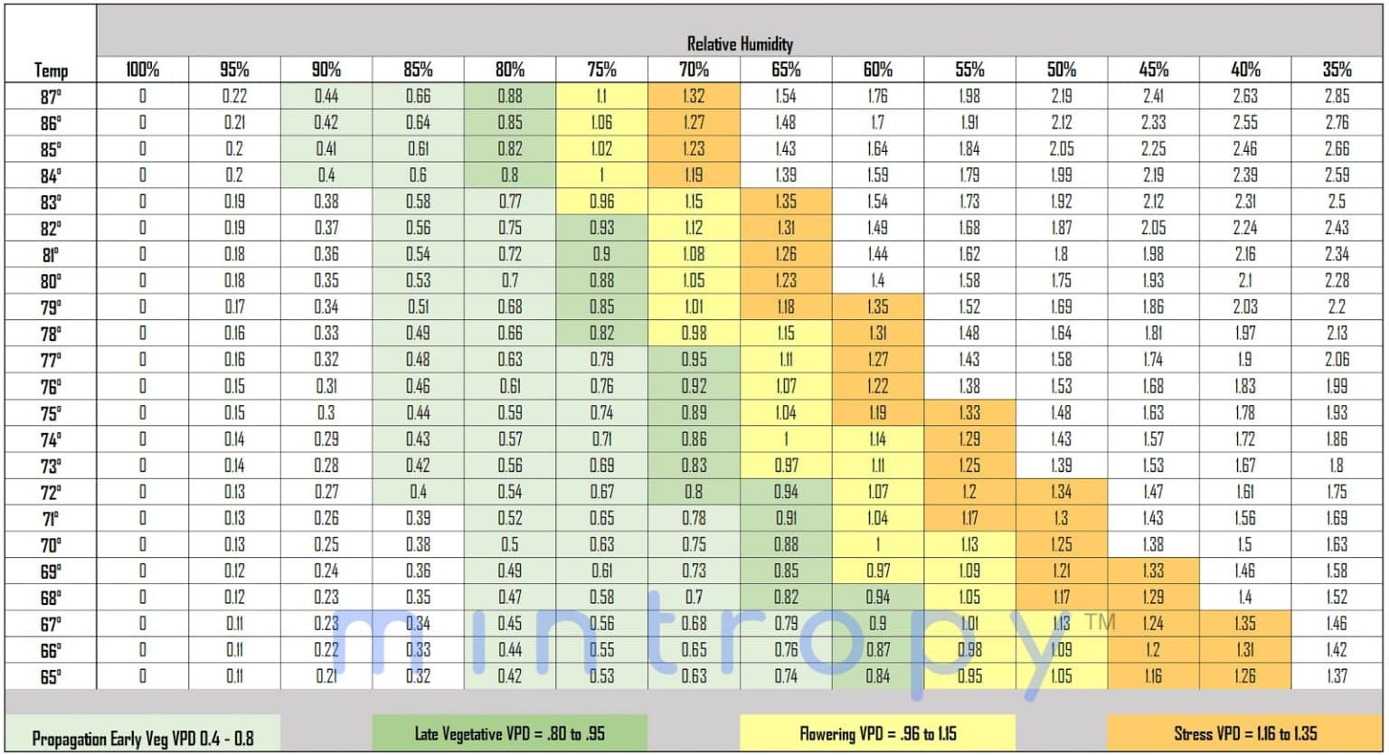VPD Cannabis Cultivation: Understanding Vapor Pressure Deficit | Mintropy